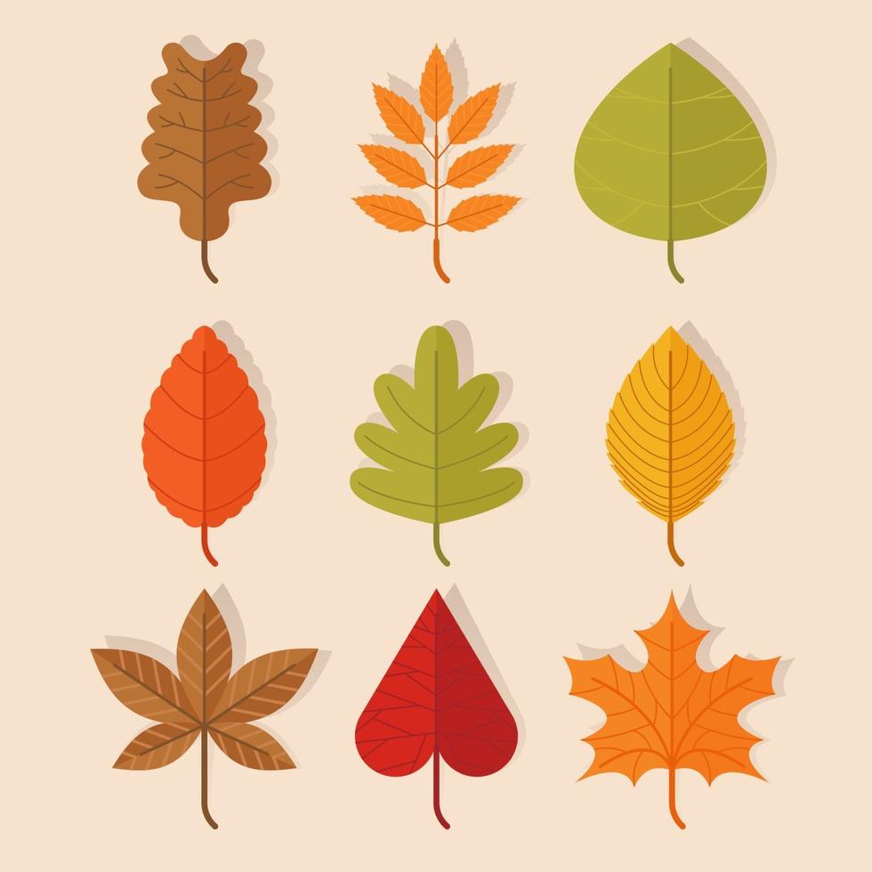 paquete de iconos de hojas de otoño vector