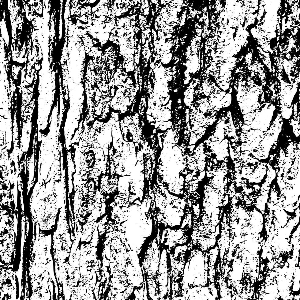 Abstract tree bark grunge texture background vector