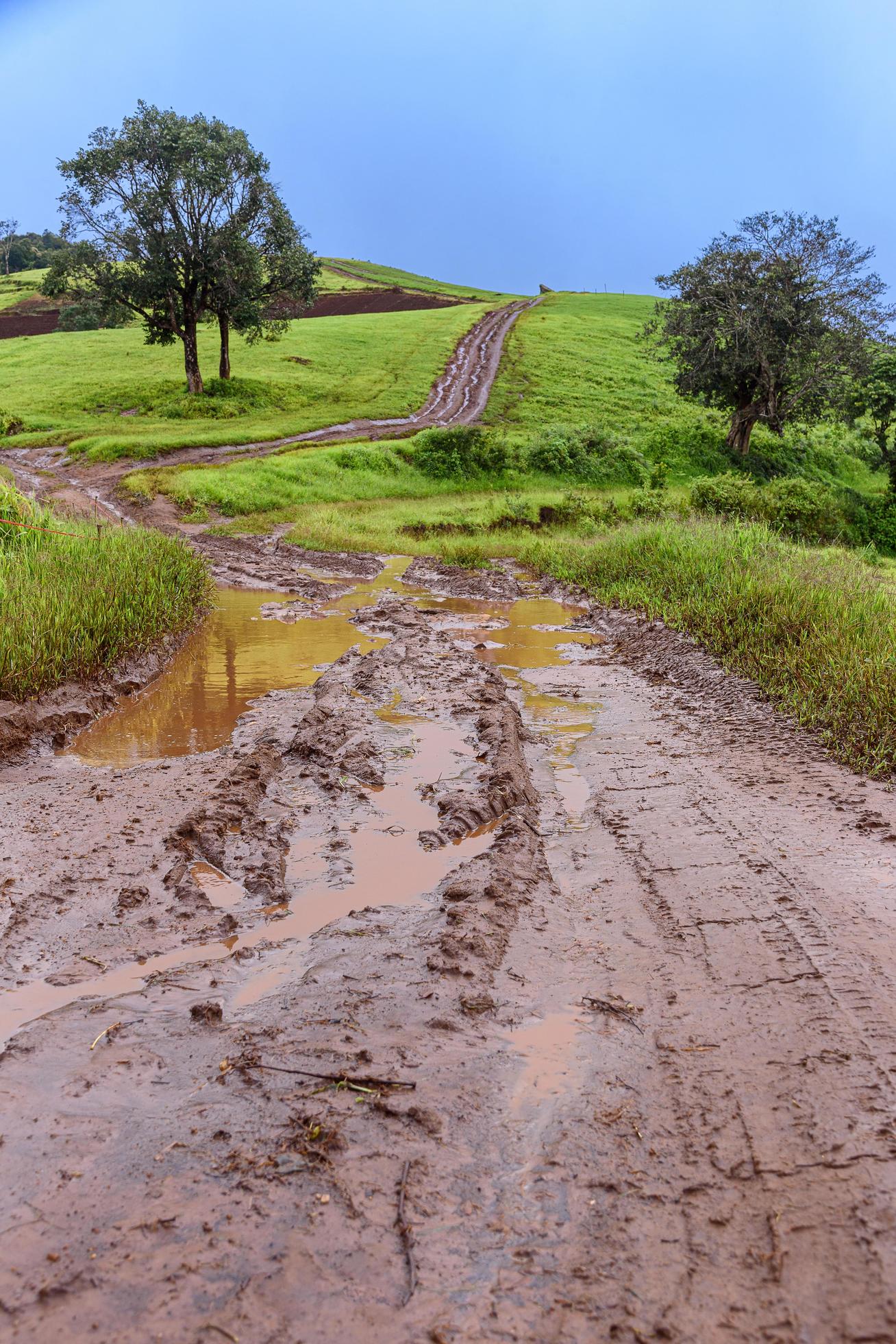 Tire tracks on a muddy road in the countryside 3088075 Stock Photo at