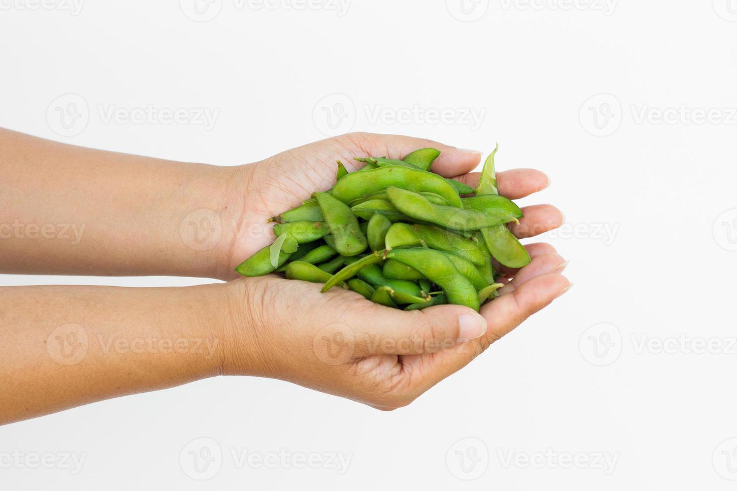 frijol jacinto en mano de mujer foto