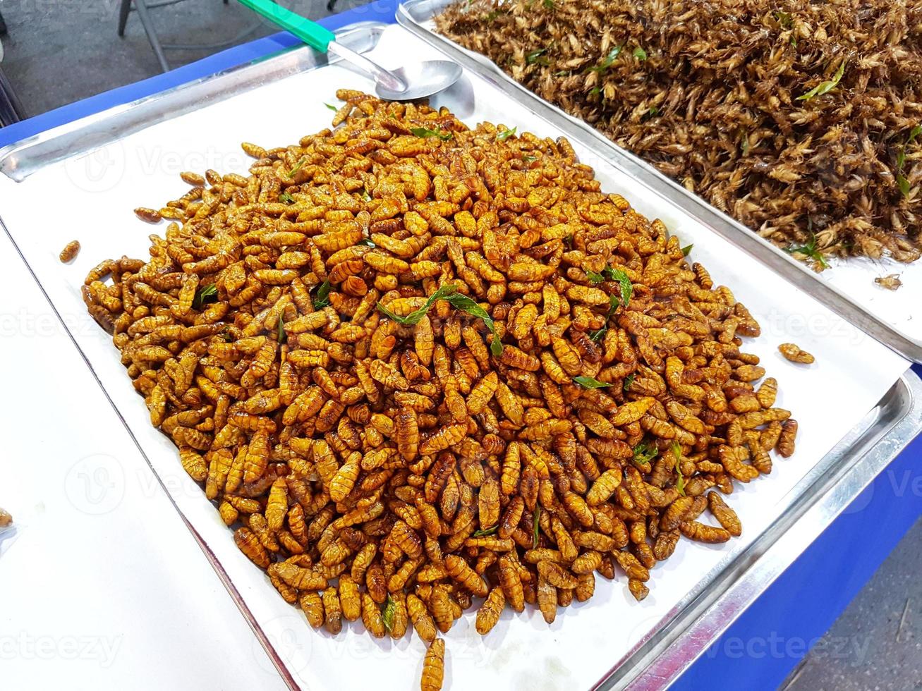 Insectos fritos gusano de seda crujiente vendido en el mercado callejero, Tailandia foto