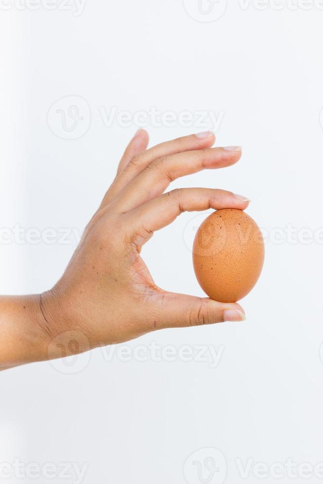 Hand with egg isolated on white background photo