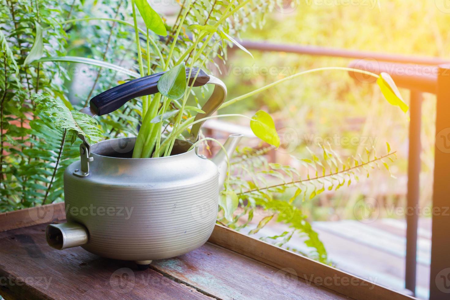 Plantas decorativas en hervidor de agua vintage sobre fondo de madera foto