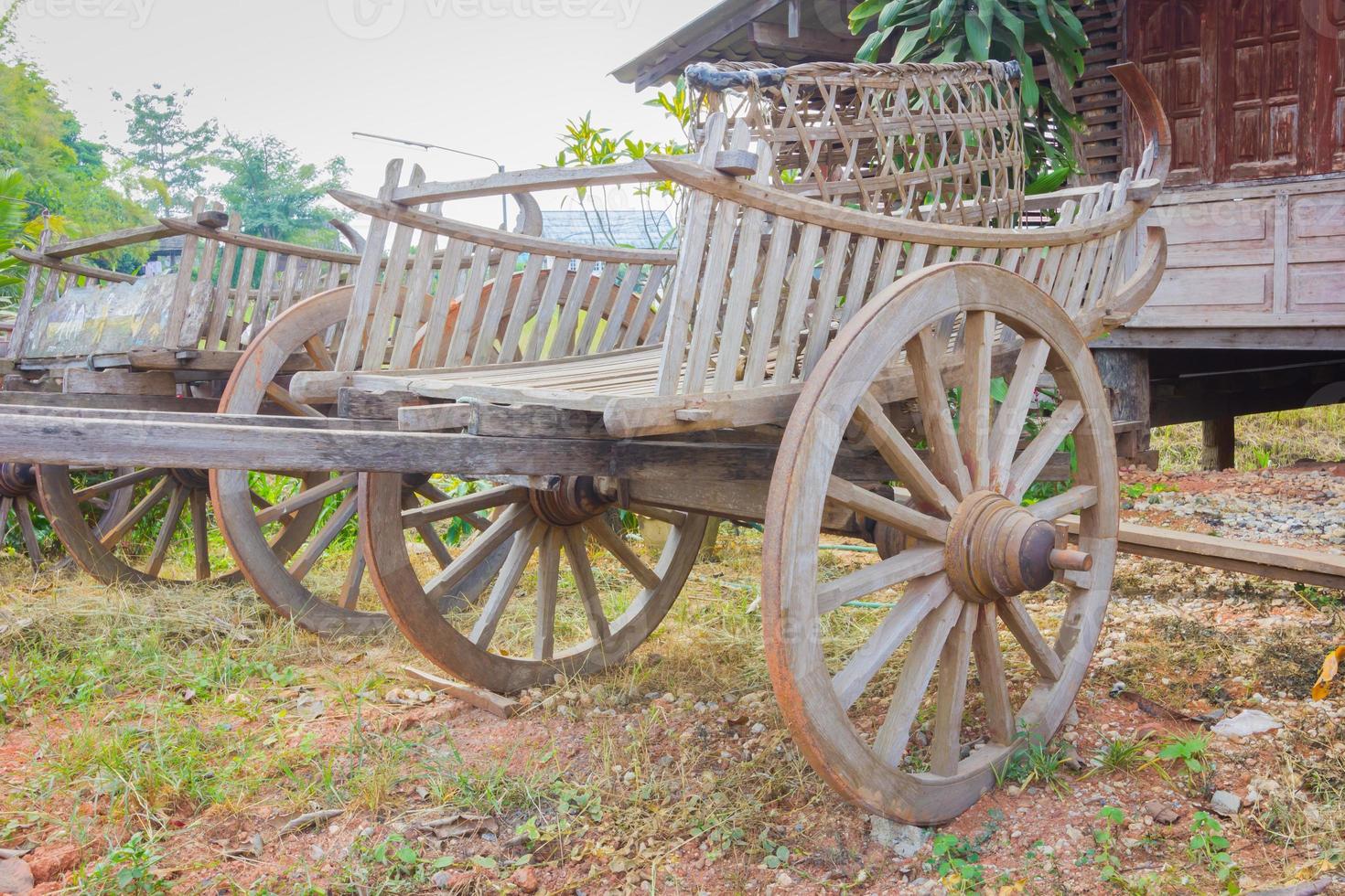 close-up old traditional ox cart in a park, Thailand photo
