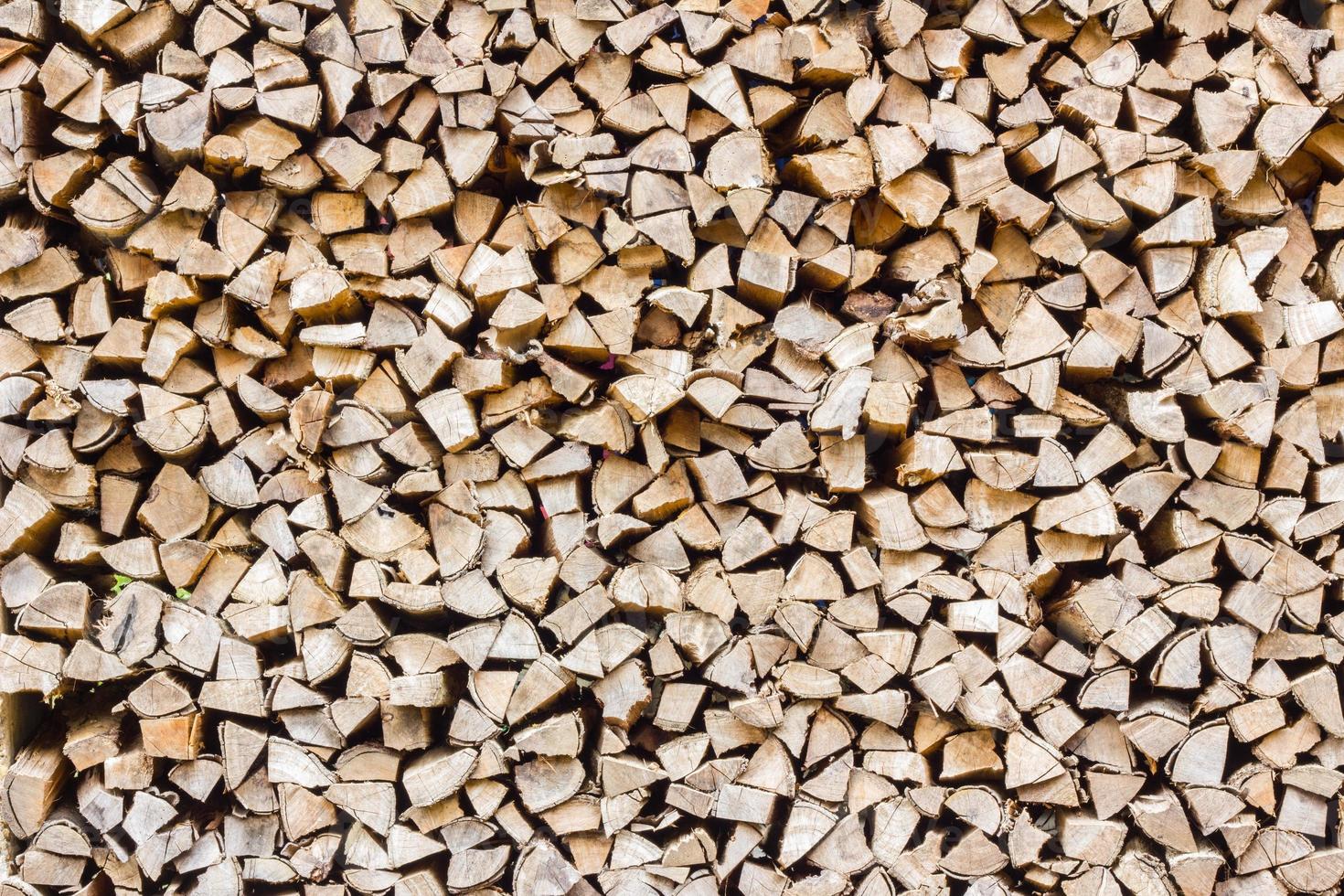 A stack of birch firewood photo