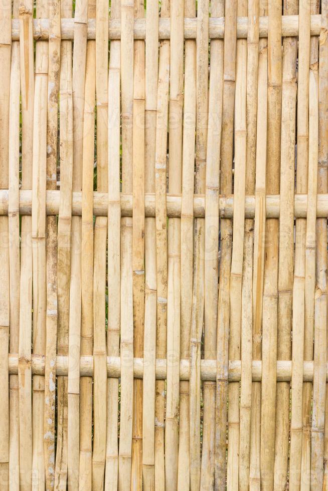 Bamboo fence background photo