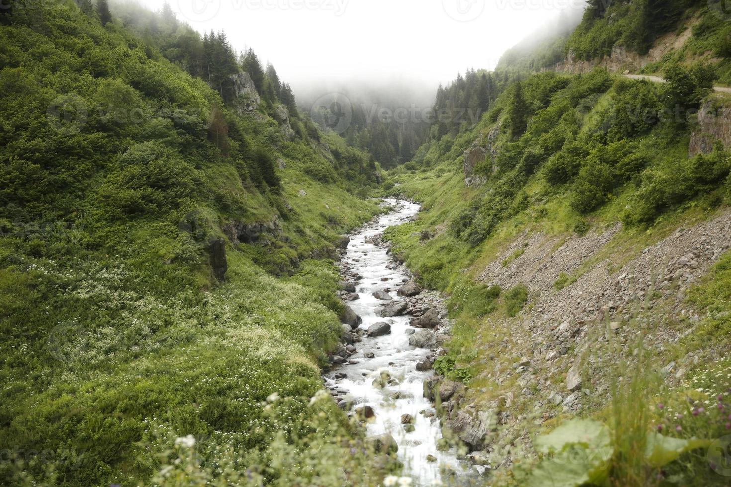 Black Sea, Rize Cat Creek Village, Turkey, View photo