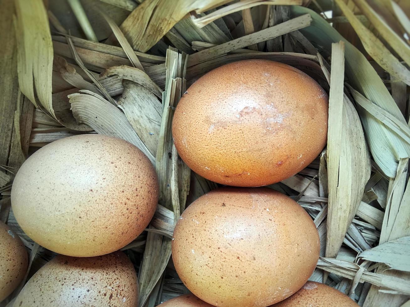 alimentos proteína orgánica pollo huevos crudos foto