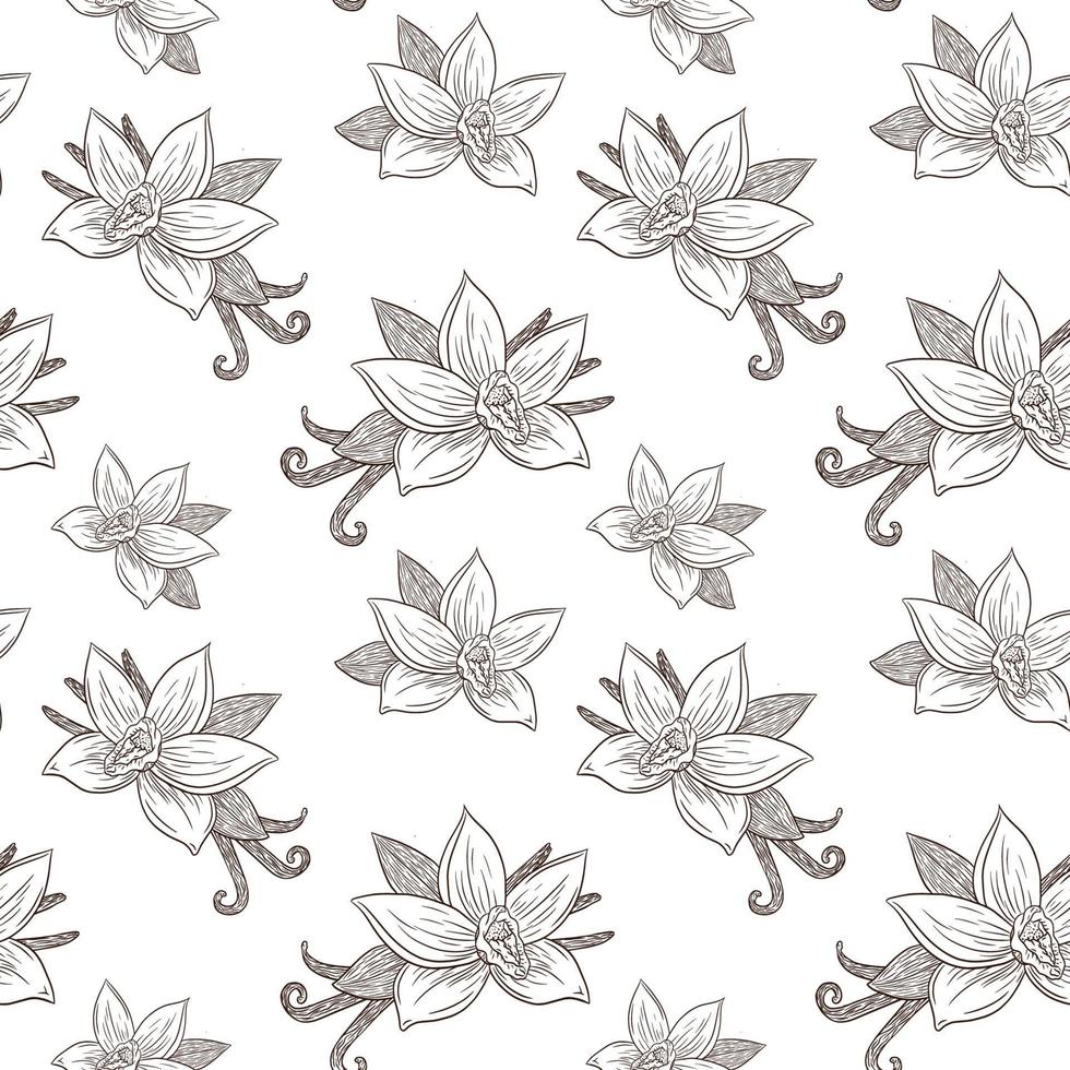 Vanilla Flowers and Pods Seamless Pattern Vintage Style Line Art vector