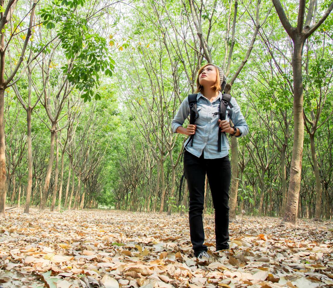 hermosa mujer mochila caminando en el bosque mirando encima del árbol. foto