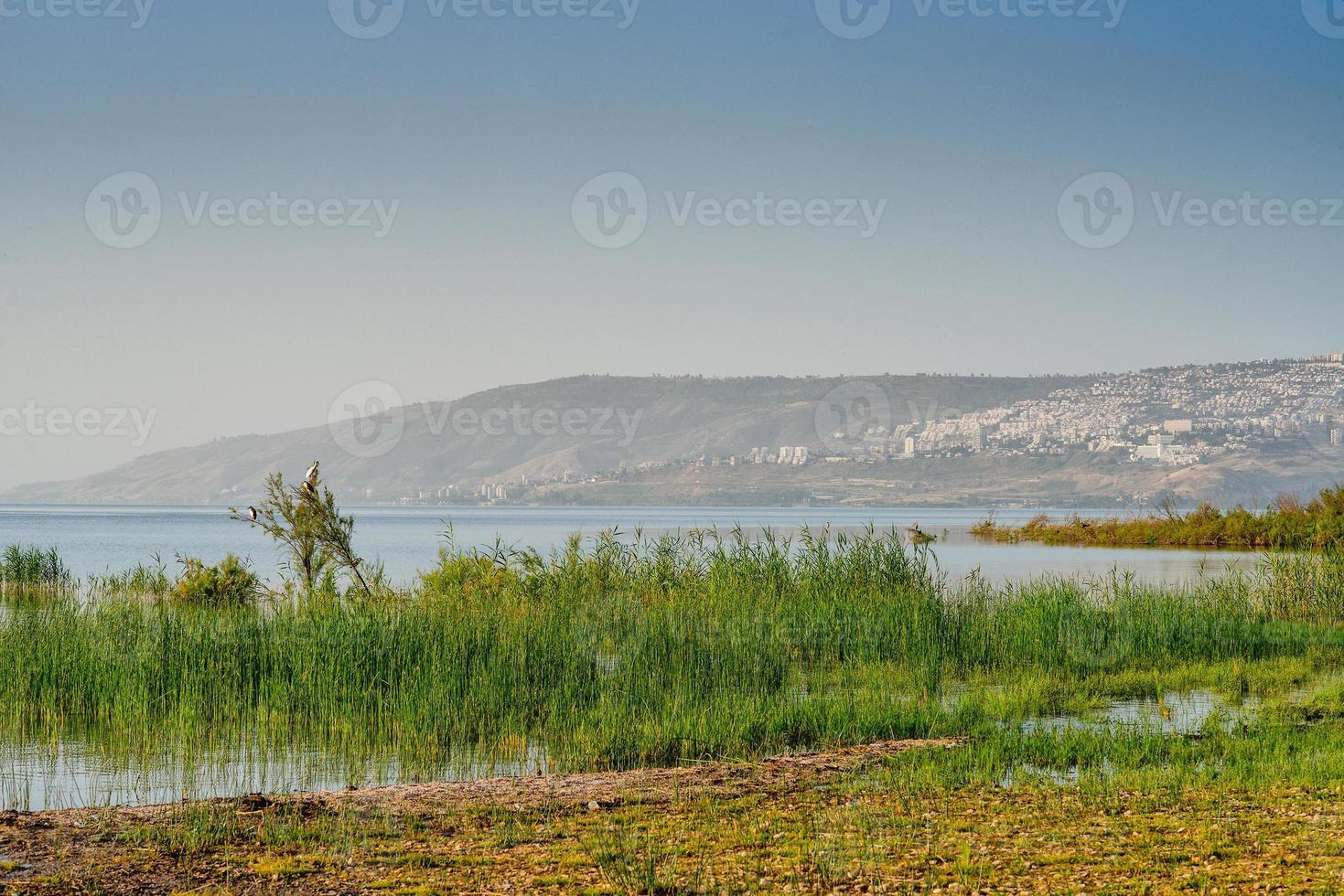 israel lago tiberias foto