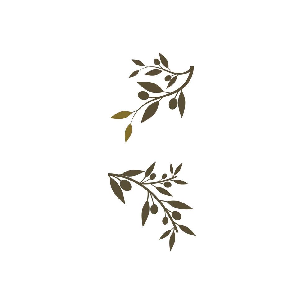 olive icon vector illustration design template