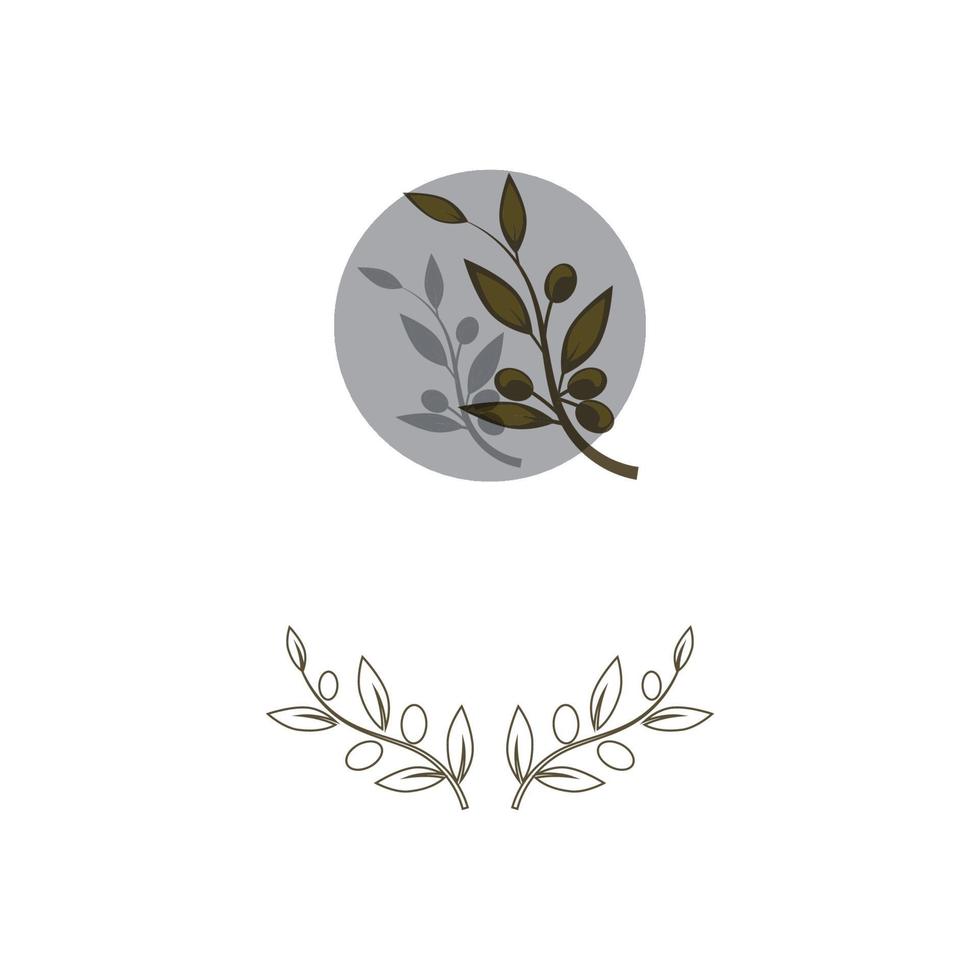 olive icon vector illustration design template