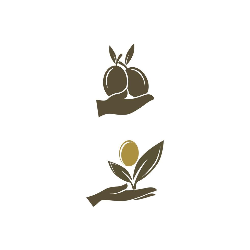 olive icon vector illustration design template