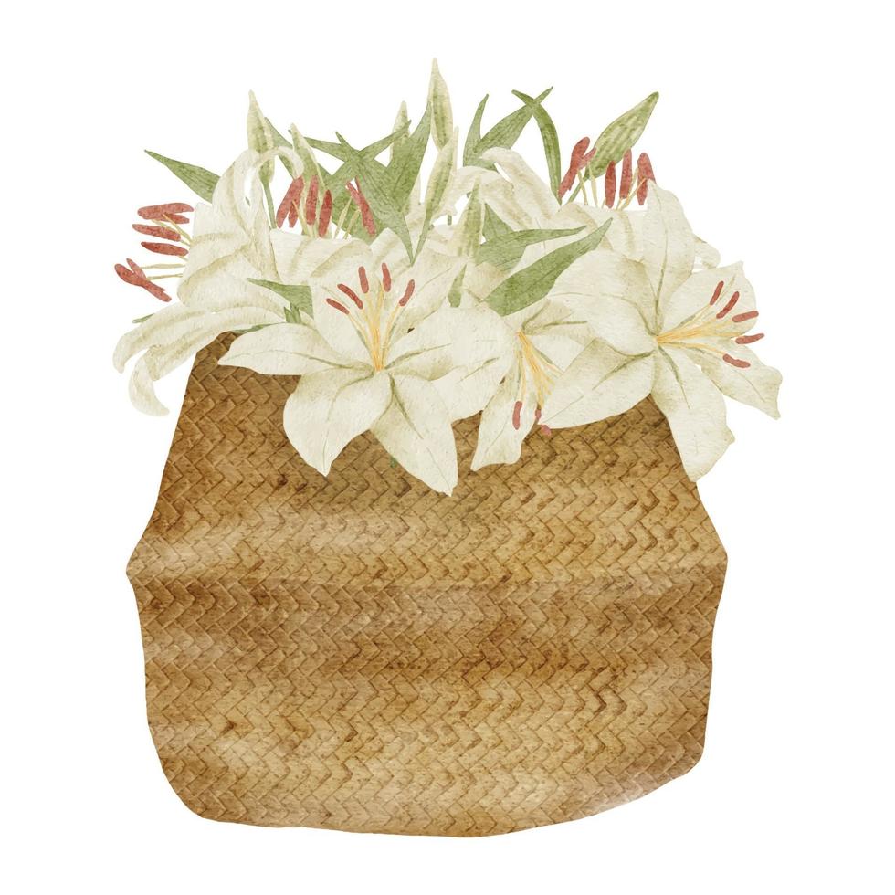 watercolor tropical lily flower bouquet on basket vector