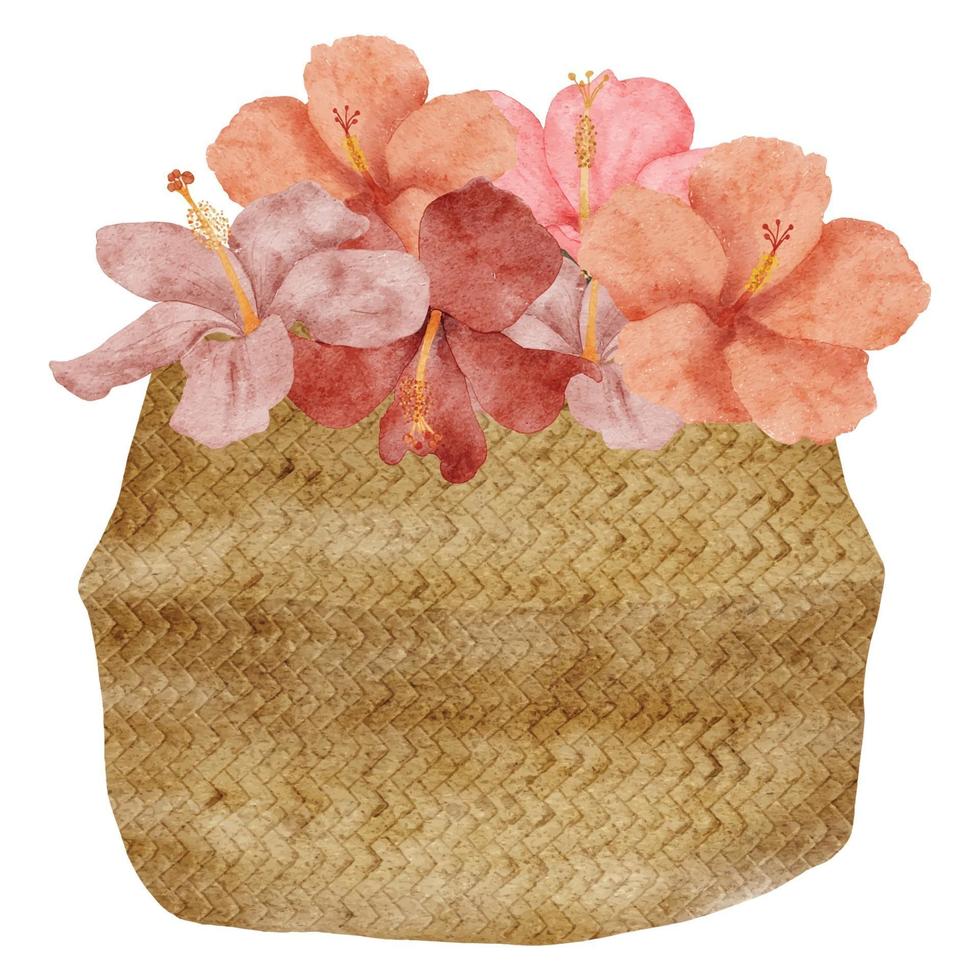 watercolor tropical hibiscus flower on a basket illustration vector