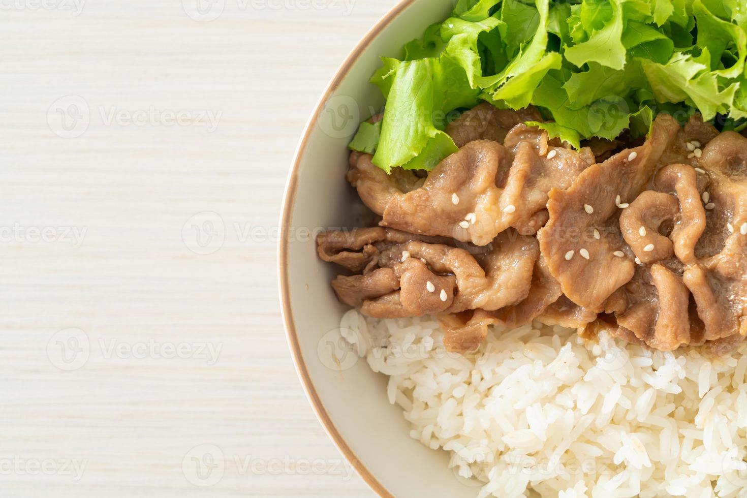 Japanese Pork Donburi Rice Bowl photo