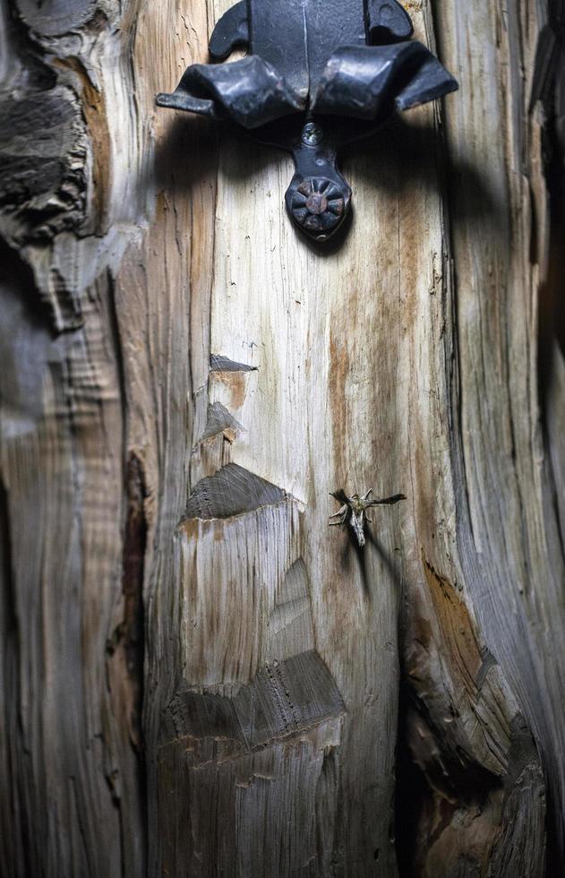 tronco de corteza de madera de árbol natural foto