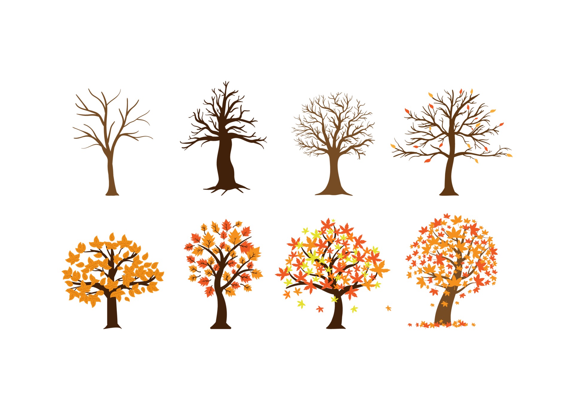 Autumn fall tree icon design template illustration 3092088 Vector Art at  Vecteezy