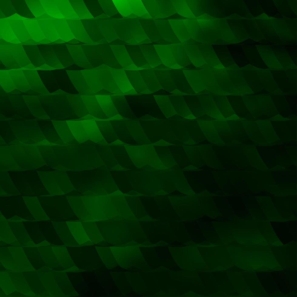 Light Green vector texture with colorful hexagons.