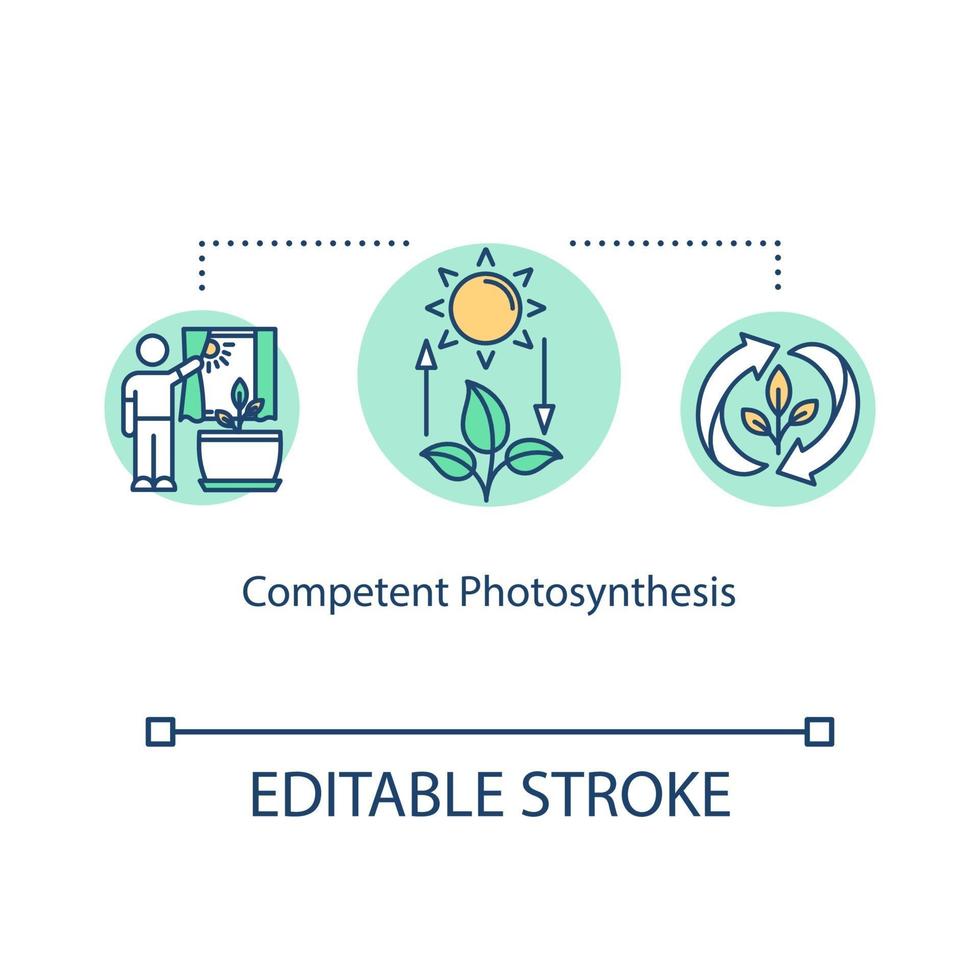 Competent photosynthesis concept icon vector