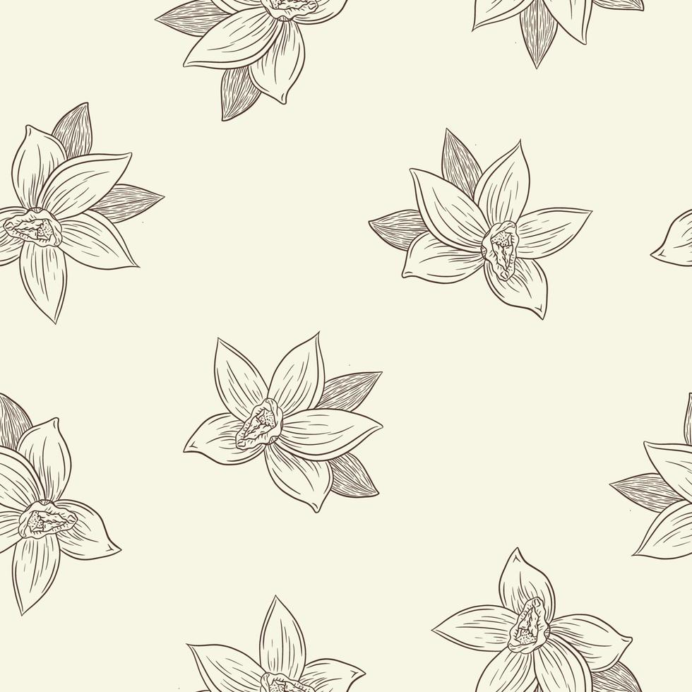 Engraved Vanilla Flowers in Vintage Style Seamless Pattern vector