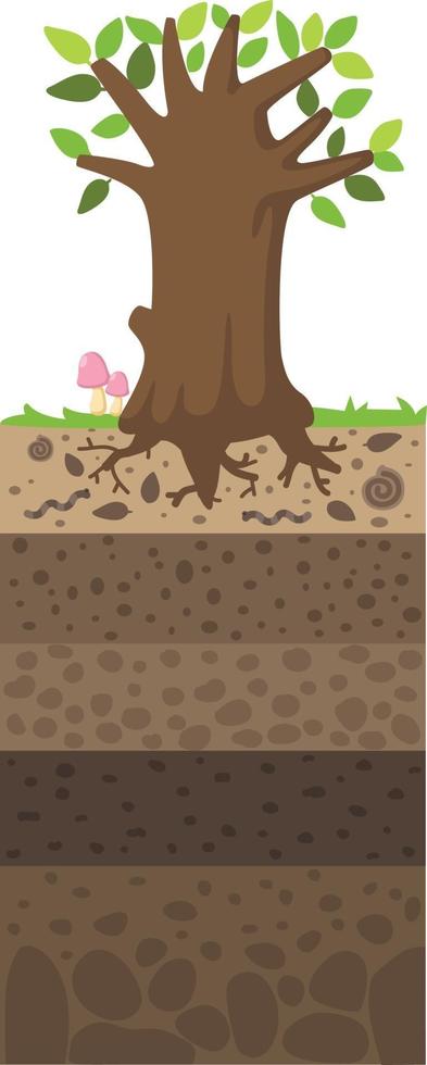 Layer of soil beneath the tree vector