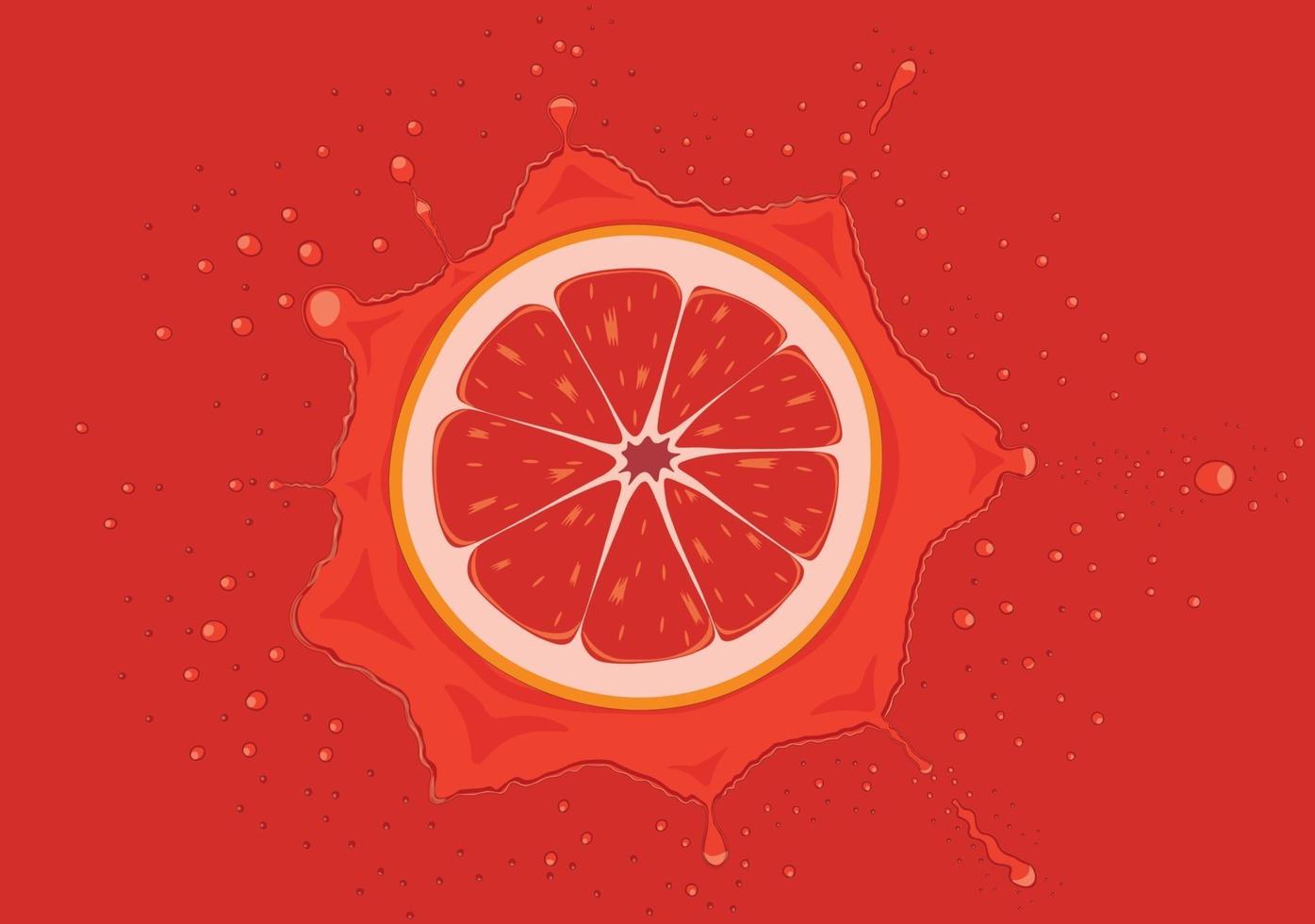 Grapefruit slice falls in juice splash vector illustration