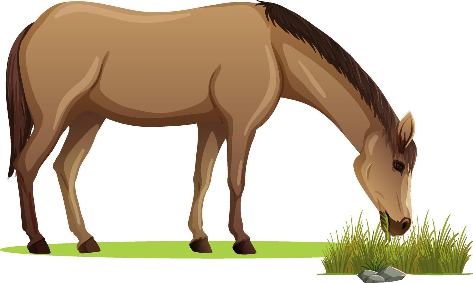 A horse eating grass in cartoon style isolated vector
