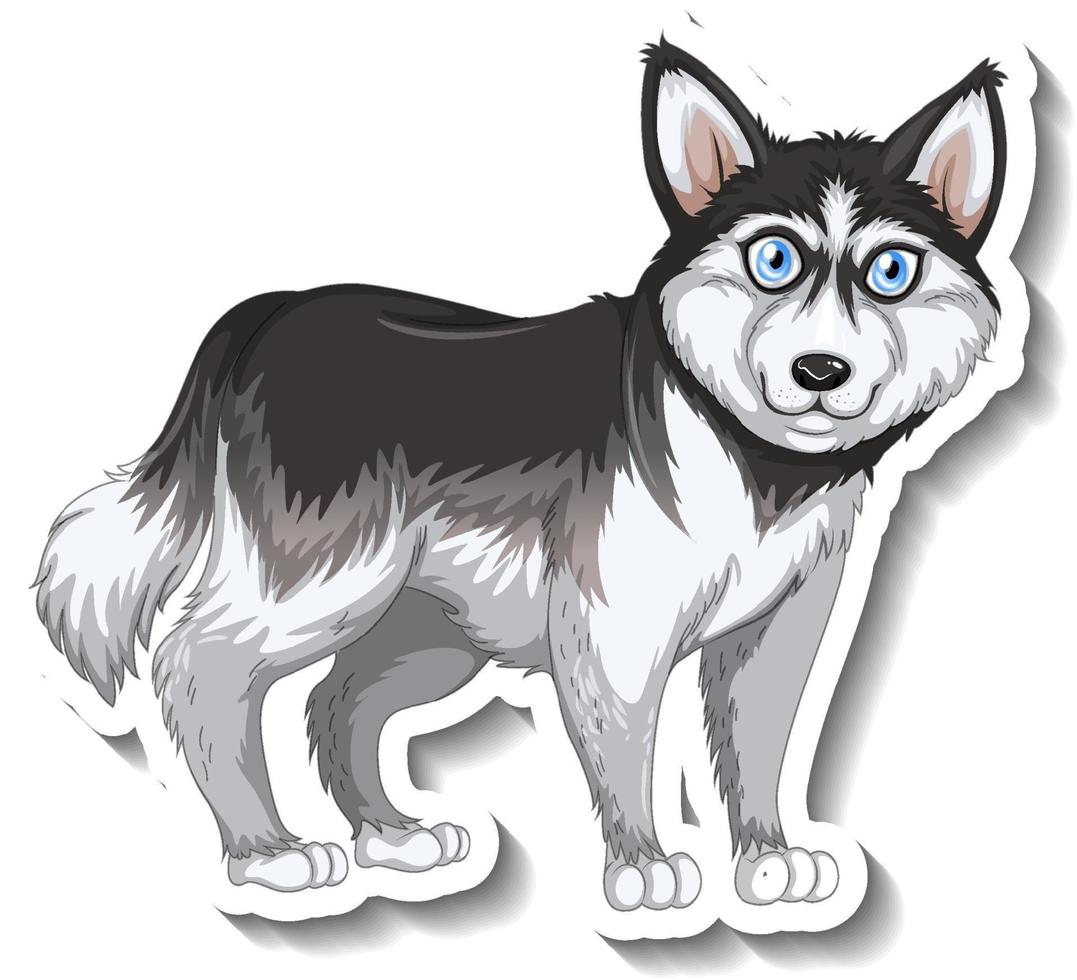 Diseño de etiqueta con perro husky siberiano aislado vector