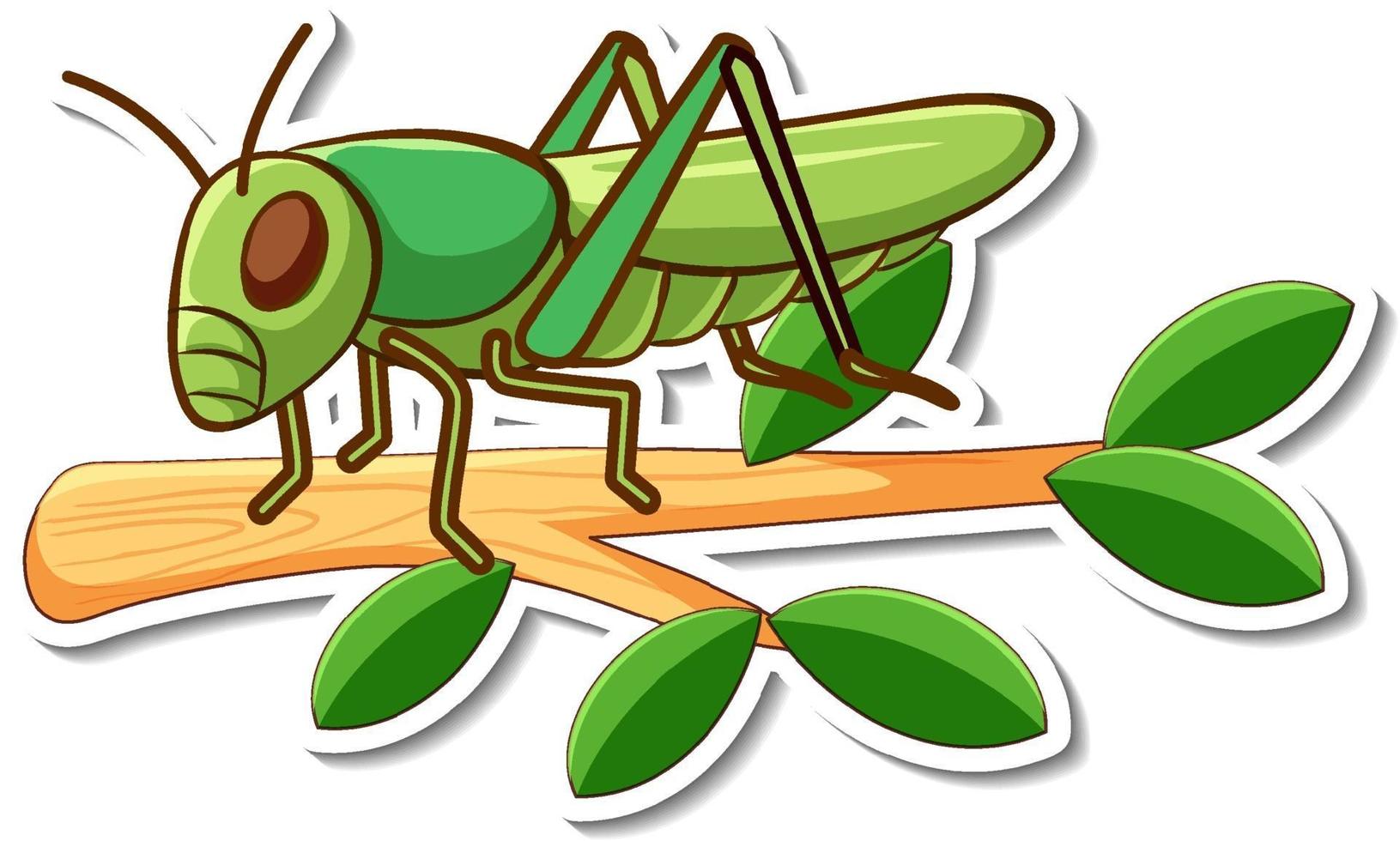 Cartoon character of grasshopper on a branch sticker vector