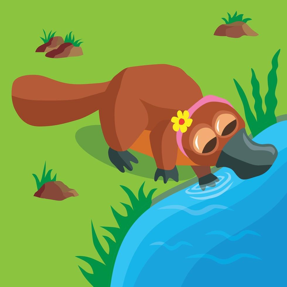 Duck billed platypus with headband at water hole vector