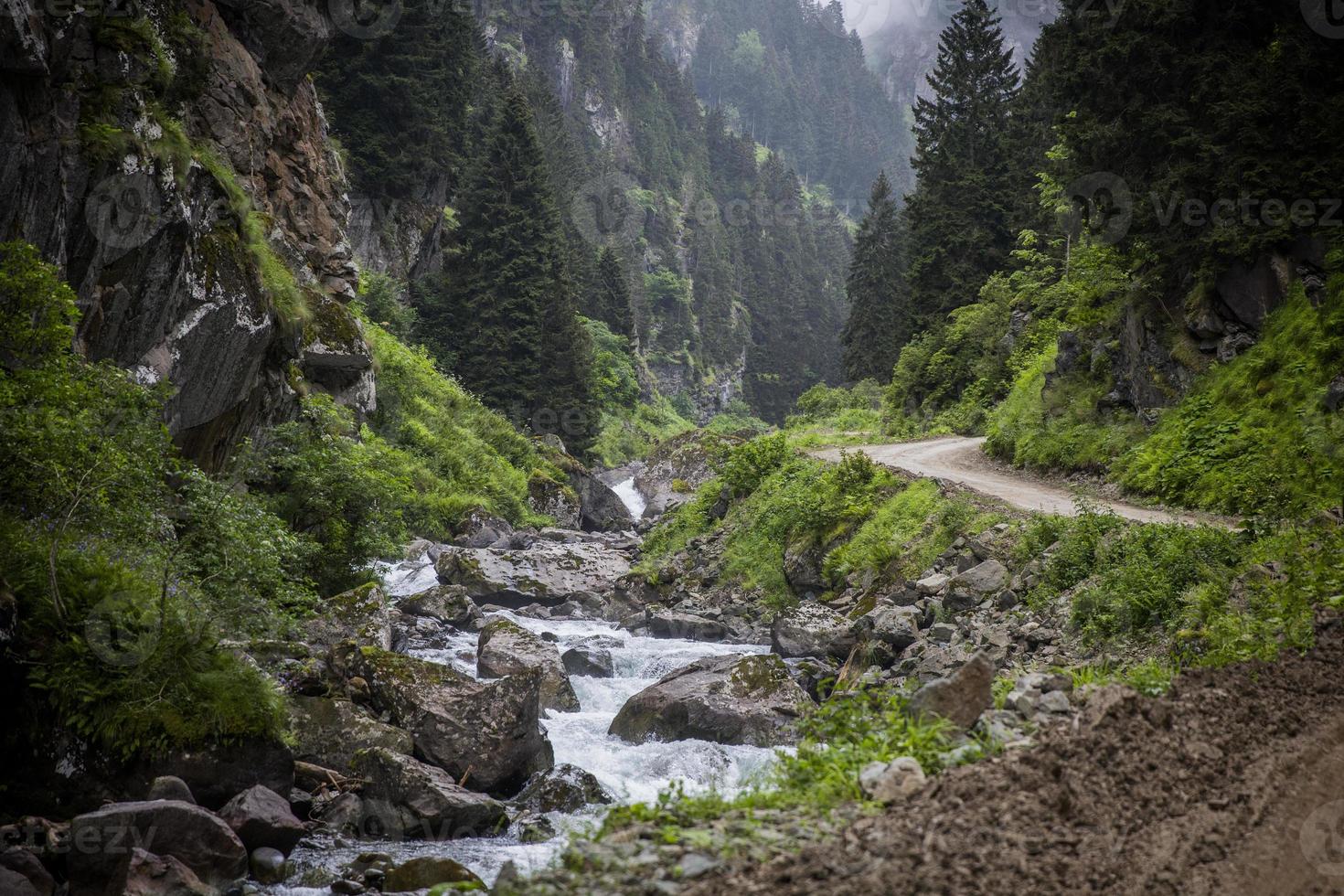 karadeniz rize cat village stream, turquía, vista de la meseta foto