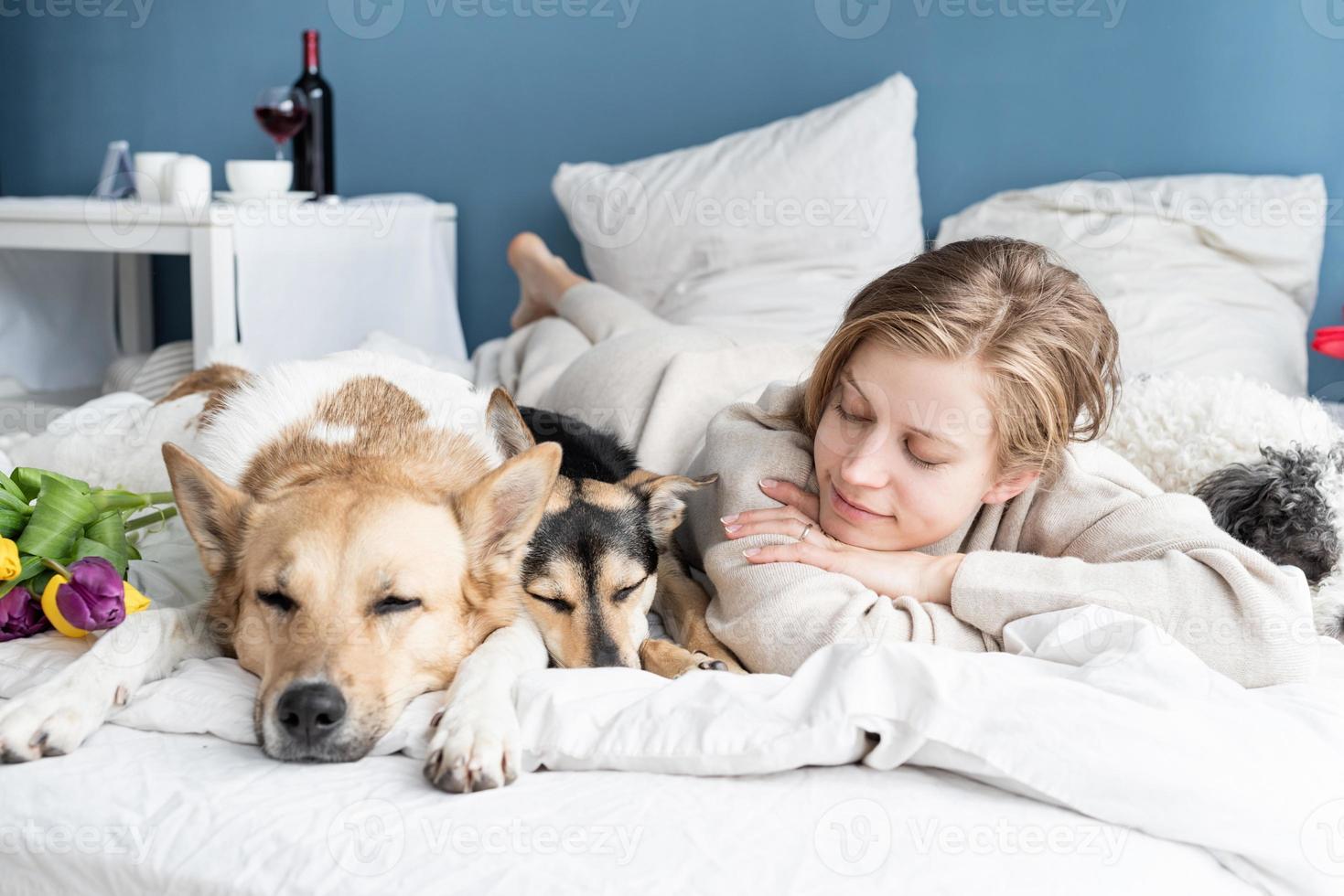 Happy young woman lying in the bed with her dogs photo