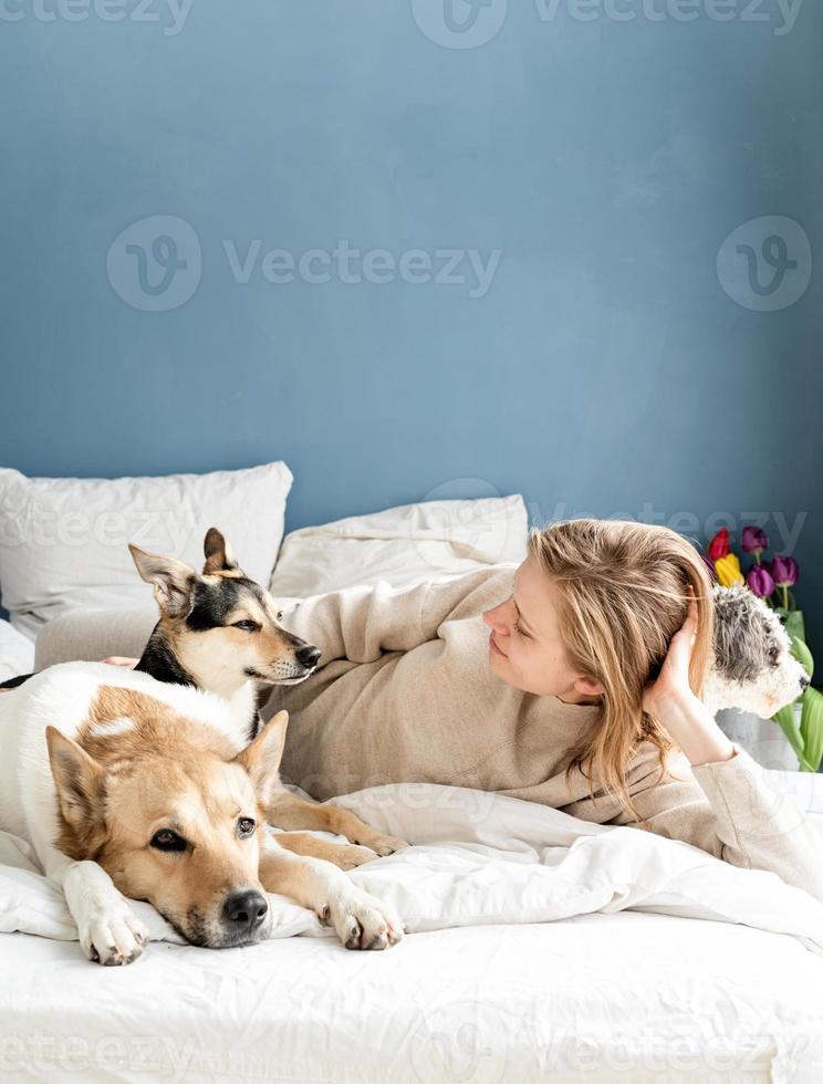 Happy young woman lying in the bed with her dogs photo