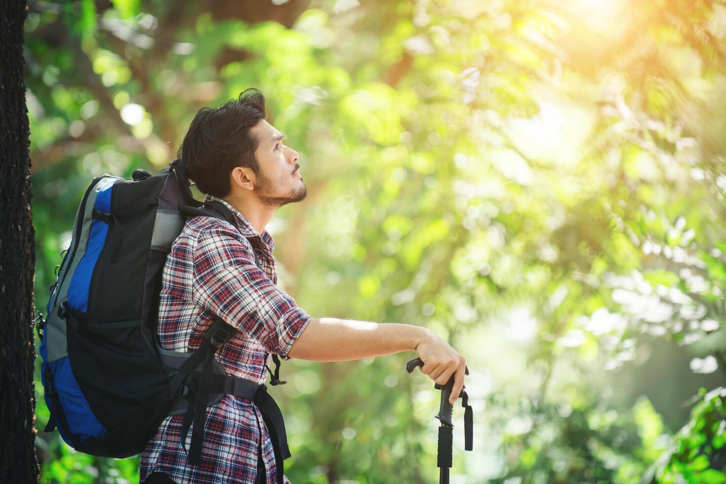 El hombre joven excursionista se detiene para descansar mientras mira los árboles alrededor. foto