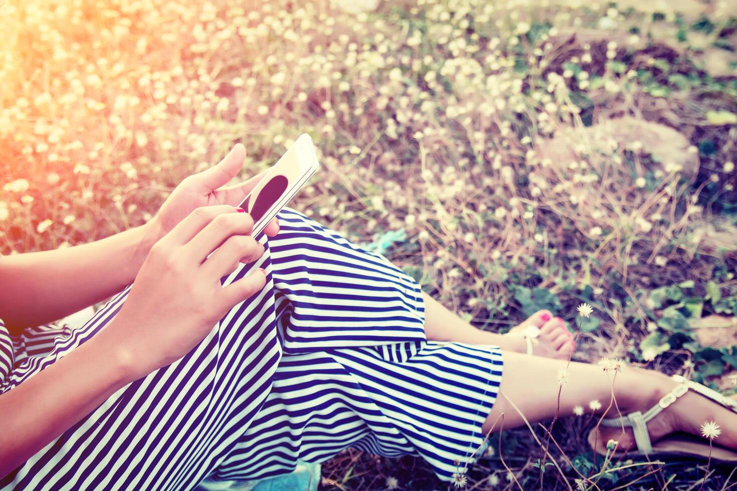 Manos de mujer con un teléfono inteligente en el campo de flores en verano foto
