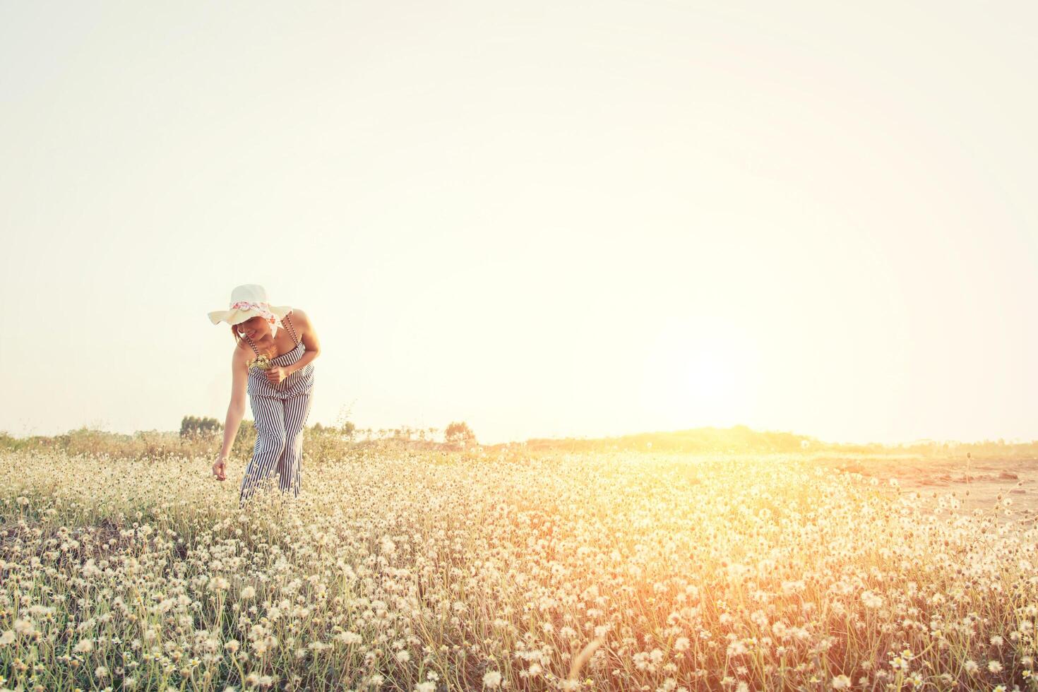 Sexy beautiful woman standing on flower field down to catching flower photo