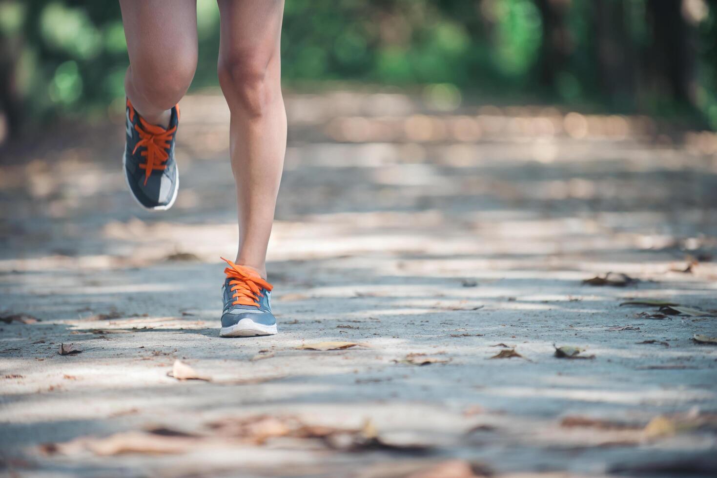 Legs of a healthy woman during jogging in the morning at park. photo