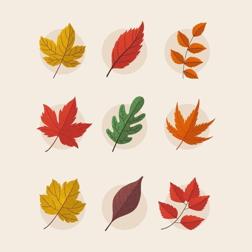 Autumn Leaves Icon Set vector