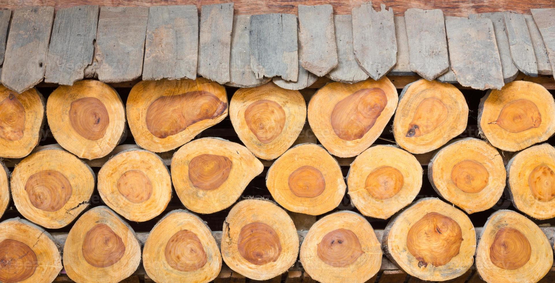 Antecedentes de la sección transversal de los troncos de los árboles, utilizados como pared foto
