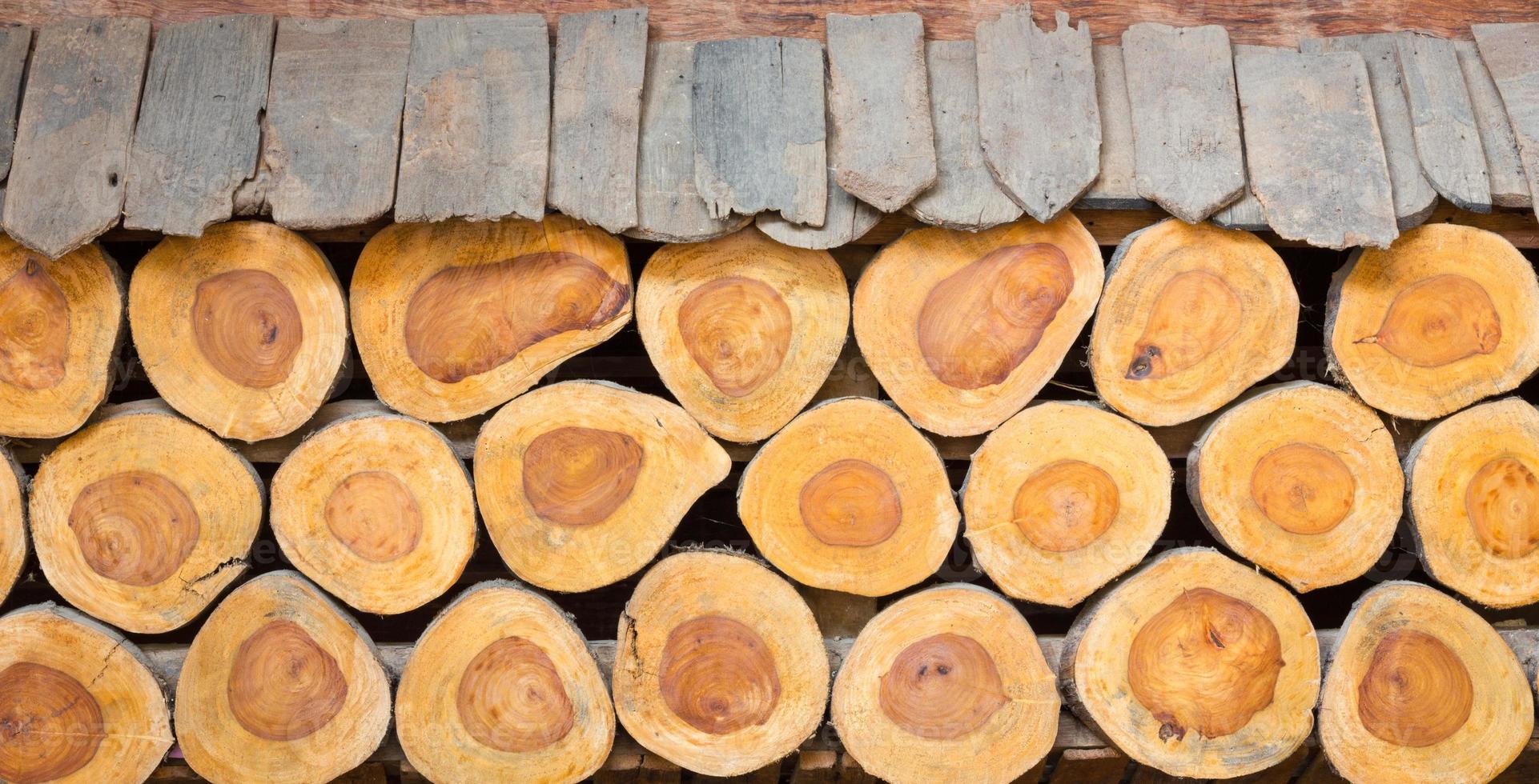 background of cross section of tree trunks, used as wall photo
