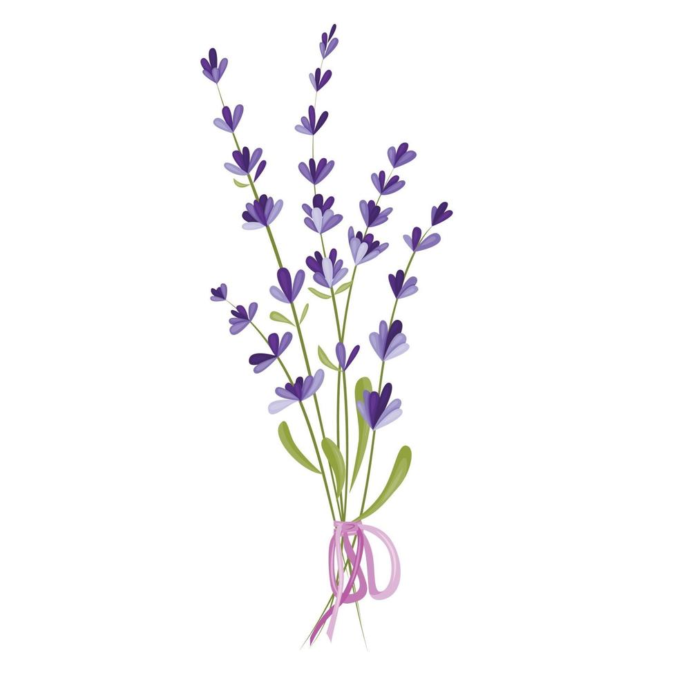 Vector illustration of a bouquet of lavender flowers