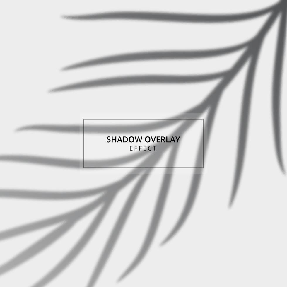 Plant shadow overlay effect on gray background vector