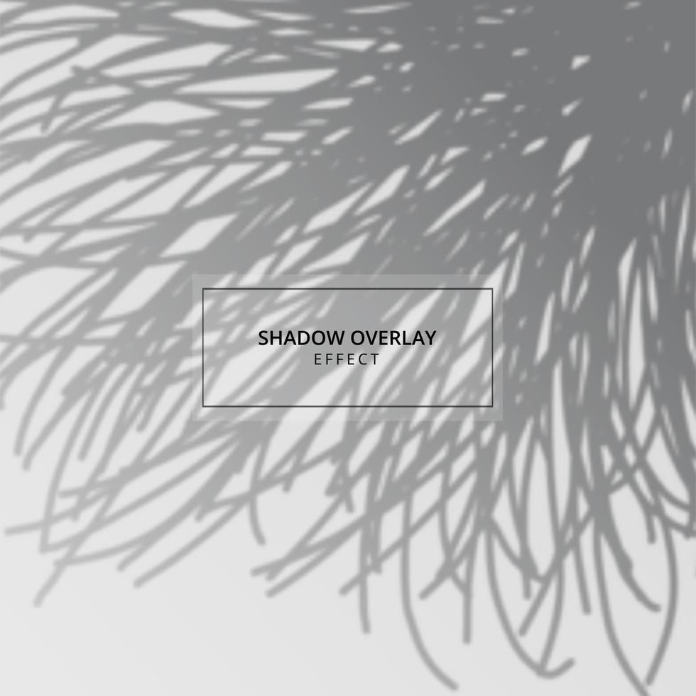 Plant shadow overlay effect on gray background vector