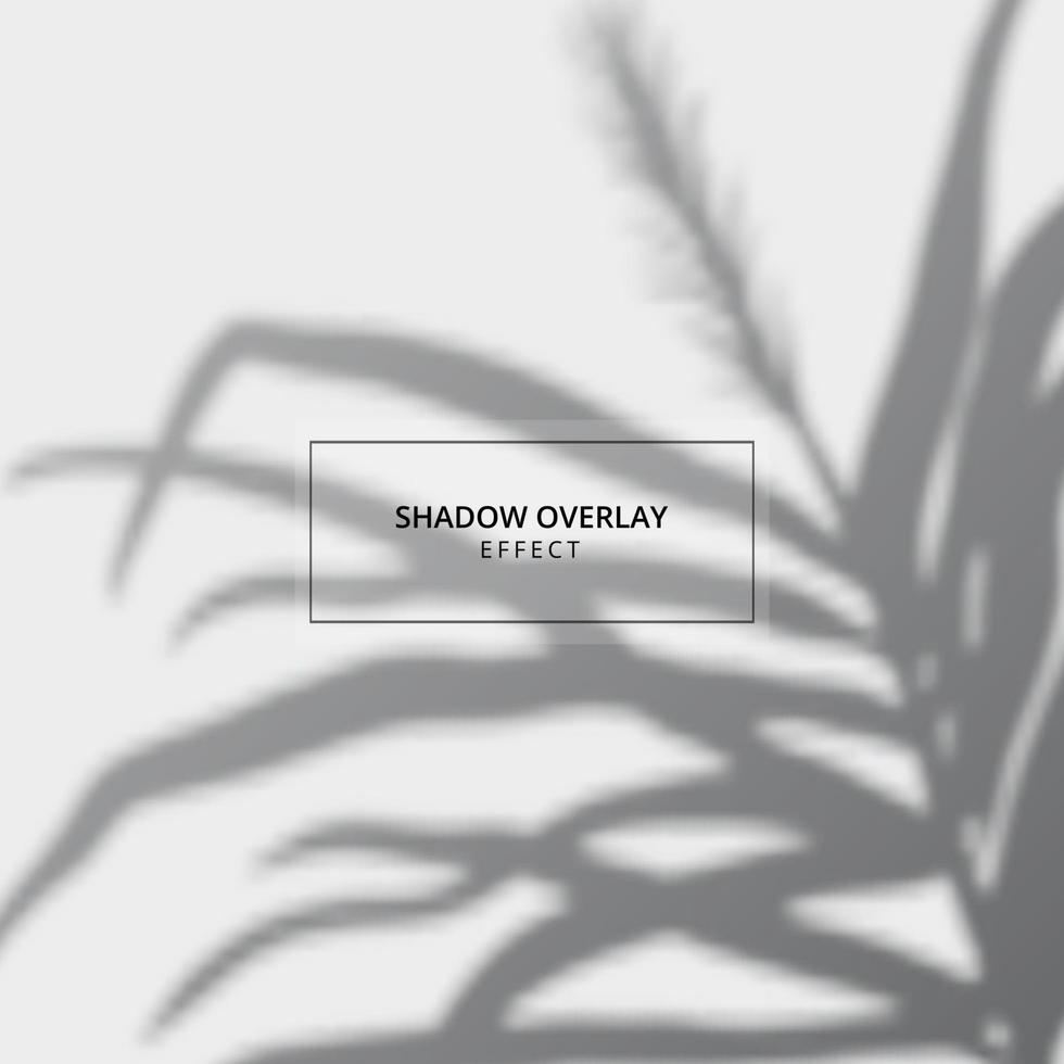 Plant shadow overlay effect on gray background vector