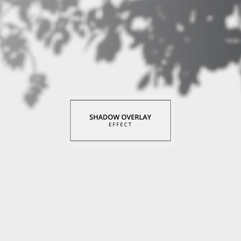 Plant shadow overlay effect on gray background vector