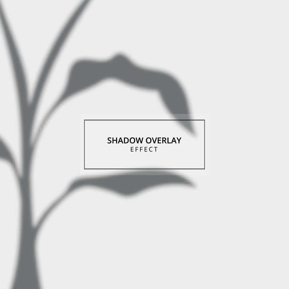 Plant shadow overlay effect on gray background vector