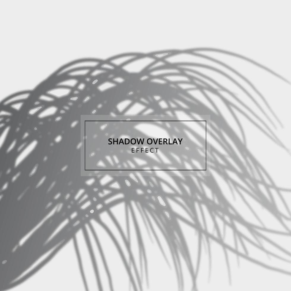 Plant shadow overlay effect on gray background vector