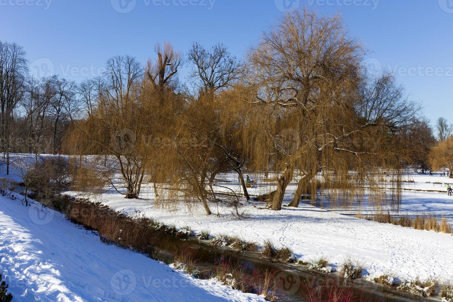 el parque más grande de praga stromovka en el invierno nevado foto